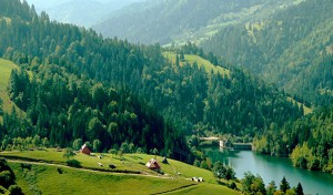 знаменития национален парк Фрушка гора