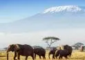 Сафари в Кения - от Двете Страни на Екватора