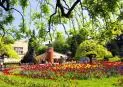 8-ми Март във Върнячка Баня