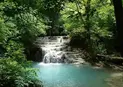 Крушунски Водопади и Деветашка Пещера 