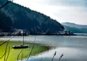 Природни Феномени - Каменни Гъби и Каменна Сватба