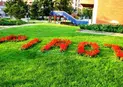Новогодишна Вечеря в гр. Пирот