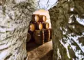 Трифон Зарезан във Вила Мелник